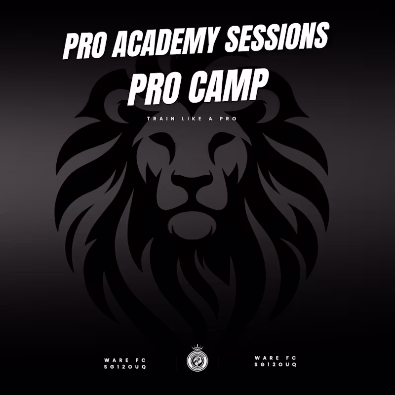 PRO CAMP